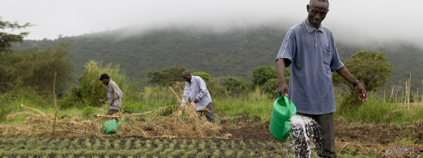 Eco-Friendly Farming